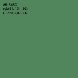 #51865C - Hippie Green Color Image