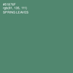 #51876F - Spring Leaves Color Image