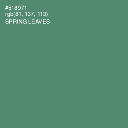 #518971 - Spring Leaves Color Image