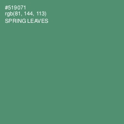 #519071 - Spring Leaves Color Image