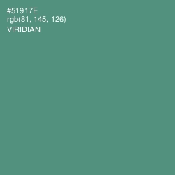 #51917E - Viridian Color Image