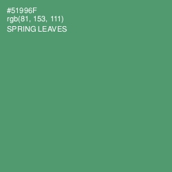 #51996F - Spring Leaves Color Image