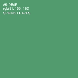 #519B6E - Spring Leaves Color Image