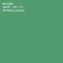 #519B6F - Spring Leaves Color Image