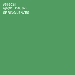 #519C61 - Spring Leaves Color Image