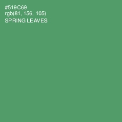 #519C69 - Spring Leaves Color Image