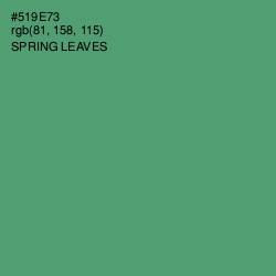 #519E73 - Spring Leaves Color Image
