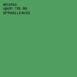 #519F60 - Spring Leaves Color Image