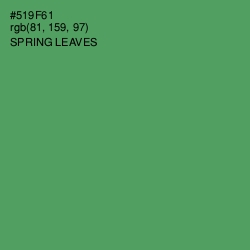 #519F61 - Spring Leaves Color Image