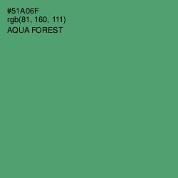 #51A06F - Aqua Forest Color Image