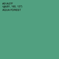 #51A07F - Aqua Forest Color Image