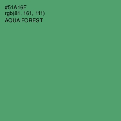 #51A16F - Aqua Forest Color Image