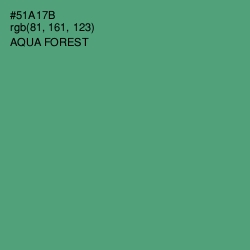 #51A17B - Aqua Forest Color Image