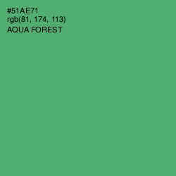 #51AE71 - Aqua Forest Color Image