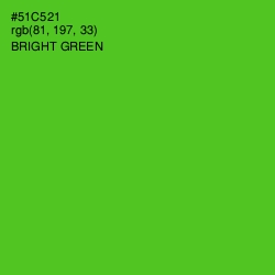 #51C521 - Bright Green Color Image