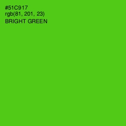 #51C917 - Bright Green Color Image