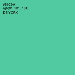 #51C9A1 - De York Color Image