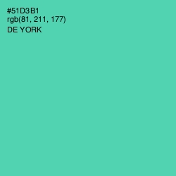 #51D3B1 - De York Color Image