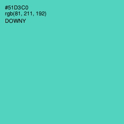 #51D3C0 - Downy Color Image