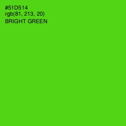 #51D514 - Bright Green Color Image