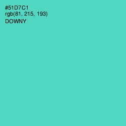 #51D7C1 - Downy Color Image