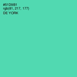#51D9B1 - De York Color Image