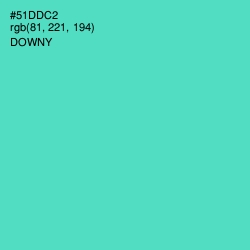#51DDC2 - Downy Color Image