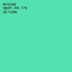 #51E0AE - De York Color Image