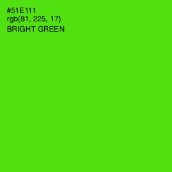 #51E111 - Bright Green Color Image