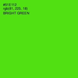 #51E112 - Bright Green Color Image