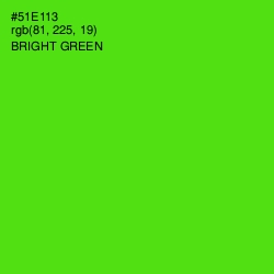 #51E113 - Bright Green Color Image