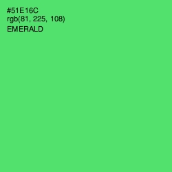 #51E16C - Emerald Color Image