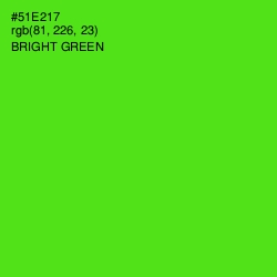 #51E217 - Bright Green Color Image