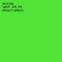 #51E436 - Bright Green Color Image