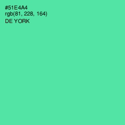 #51E4A4 - De York Color Image