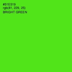 #51E519 - Bright Green Color Image