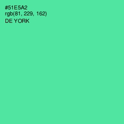 #51E5A2 - De York Color Image