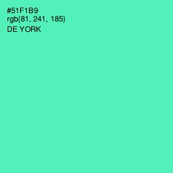 #51F1B9 - De York Color Image