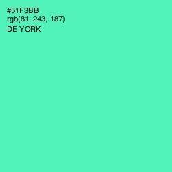 #51F3BB - De York Color Image