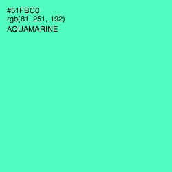 #51FBC0 - Aquamarine Color Image