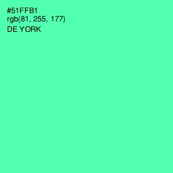 #51FFB1 - De York Color Image