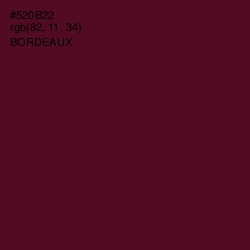 #520B22 - Bordeaux Color Image