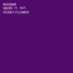 #520B6B - Honey Flower Color Image