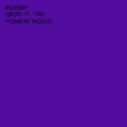 #520B9F - Pigment Indigo Color Image