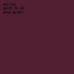 #521E32 - Wine Berry Color Image