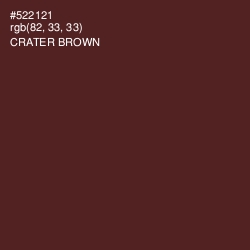 #522121 - Crater Brown Color Image