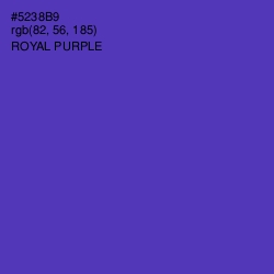 #5238B9 - Royal Purple Color Image