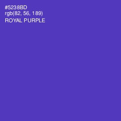 #5238BD - Royal Purple Color Image