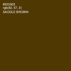 #523903 - Saddle Brown Color Image