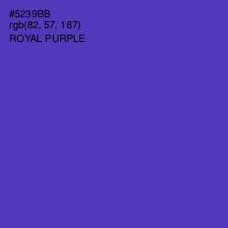 #5239BB - Royal Purple Color Image